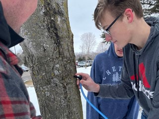 Kid tapping into a maple tree